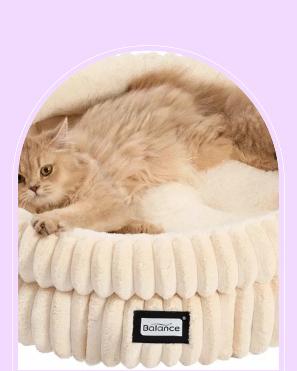 BALANCE Cat Bed Kitten Bed, Washable Round Cat Beds for Indoor Cats, Super Soft Plush Faux Fur Pet Bed for Puppy and Kitten with Anti-Slip Bottom - Image 1