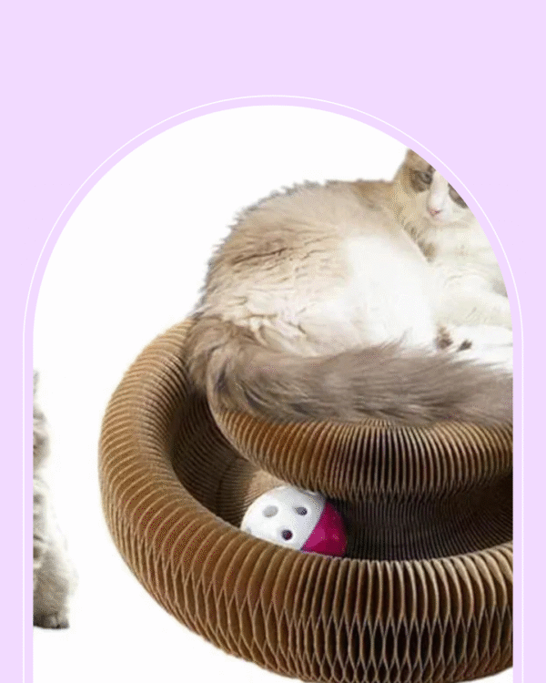 Magic Organ Cat Scratcher Board Cat Ball Adventure The Ultimate Interactive Mental Physical Exercise for Indoor Cats Toy - Image 1