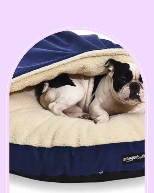 Amazon Basics Pet Cave Bed for Dog, With Removal Nesting Cave Cover, Fits up to 30lbs Pets, 35 x 35 x 13 inches, Blue - Image 1
